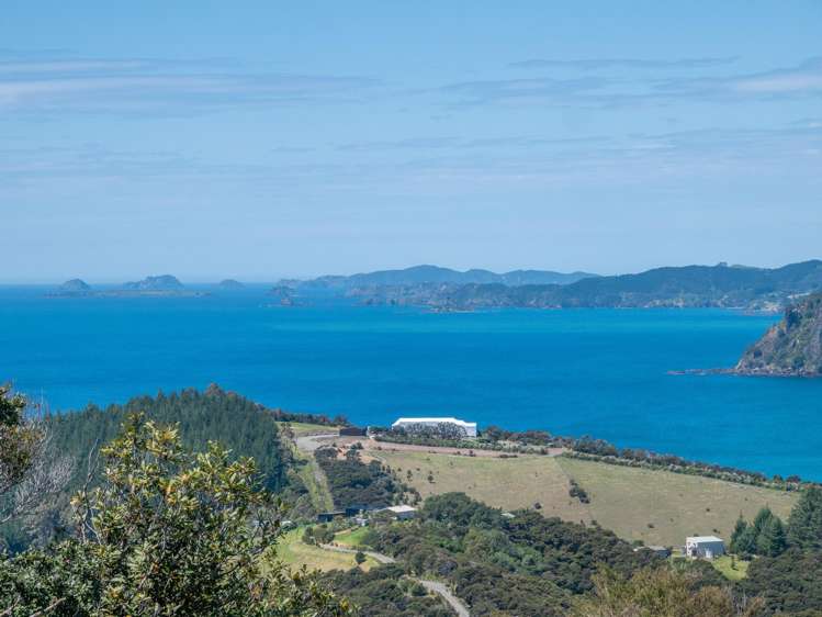 846 Taupo Bay Road Taupo Bay_35