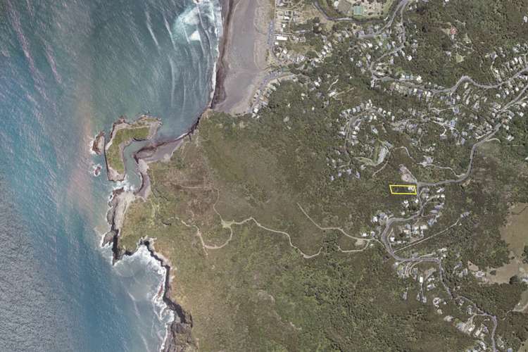 69 Piha Road Piha_38