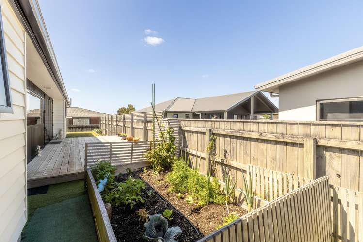 13 Morrell Street Tawhero_15