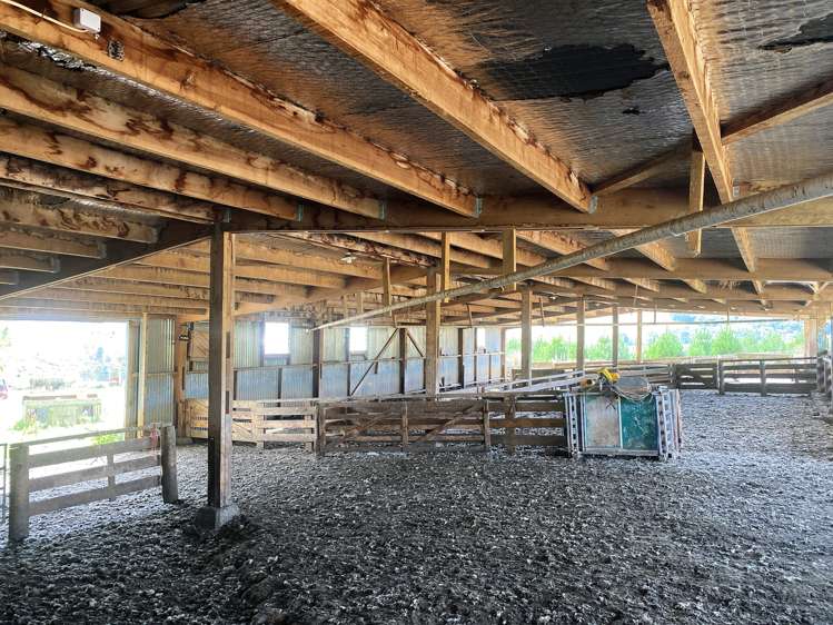 111 Gully Road Tuatapere_8