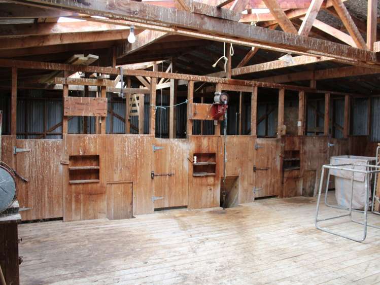 38 Goodeve Road Ormondville_11