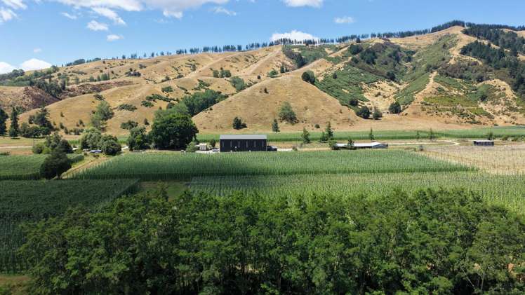 390 Tadmor Valley Road Tapawera_6