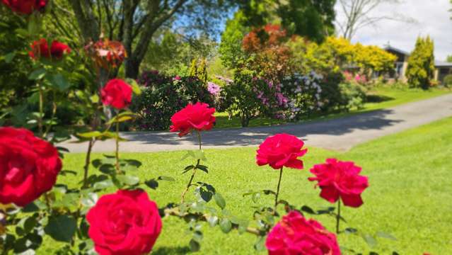 57 Armstrong Road Te Puna_1