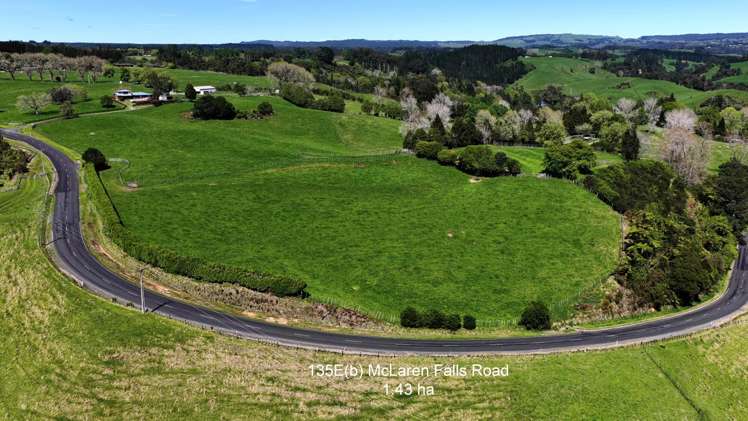 135E(b) McLaren Falls Road_0