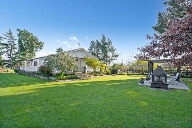 2569 State Highway 2 Greytown_25