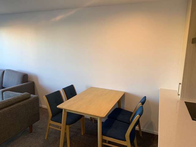 2b/6 Winchester Street Grey Lynn_2