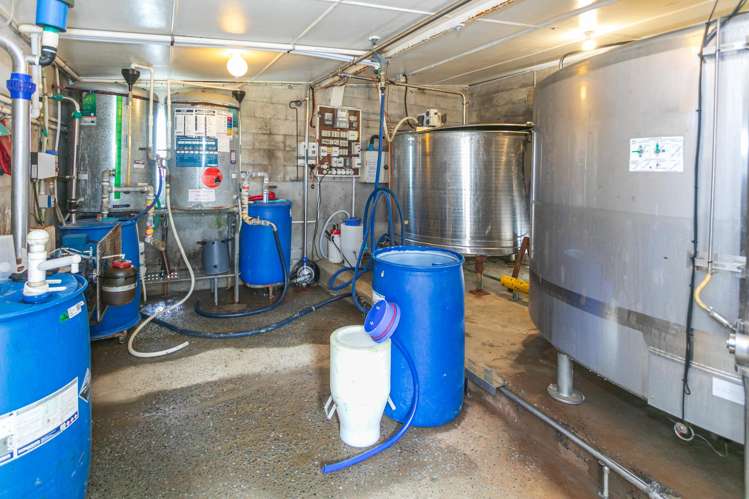 696a Tower Road Matamata_6