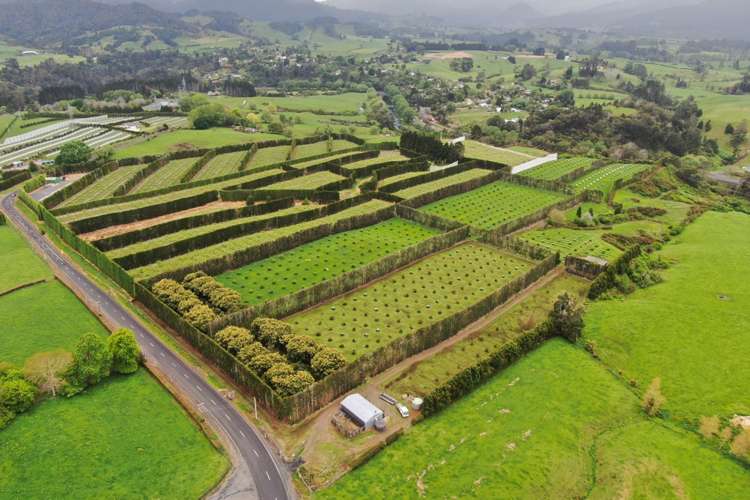 211 Pukekauri Road Waikino_10