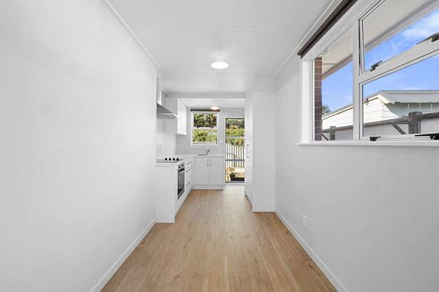 290d Carrington Street Vogeltown_4