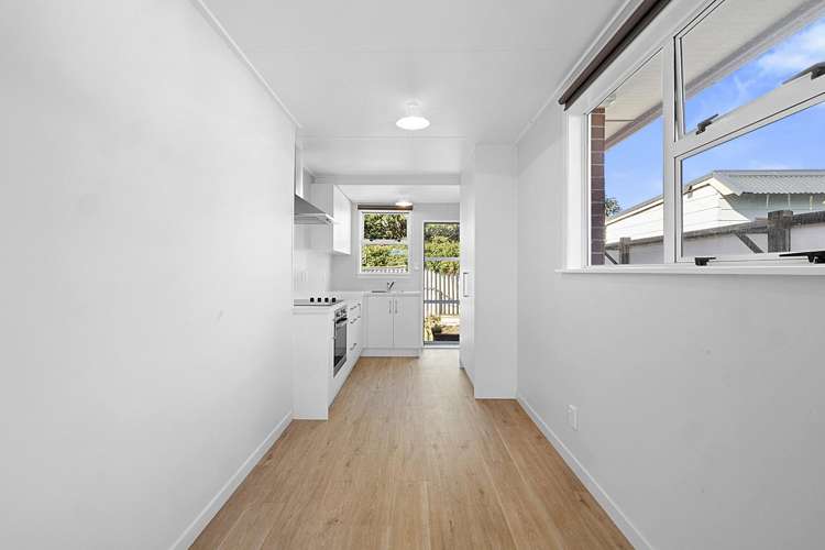 290d Carrington Street Vogeltown_4