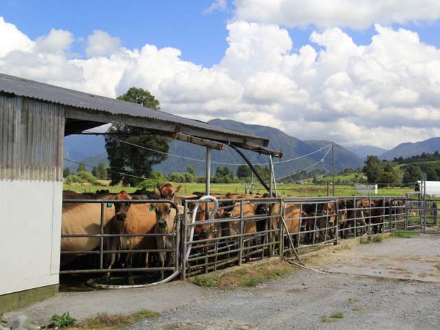 1602 Kaniere-Kowhitirangi Road Kokatahi_3