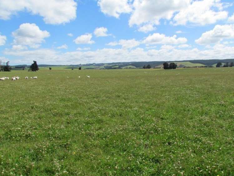 734 Crichton Road Milton_10