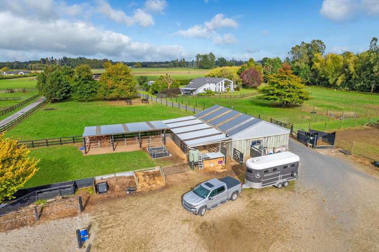 35 Taplin Road Matangi_22