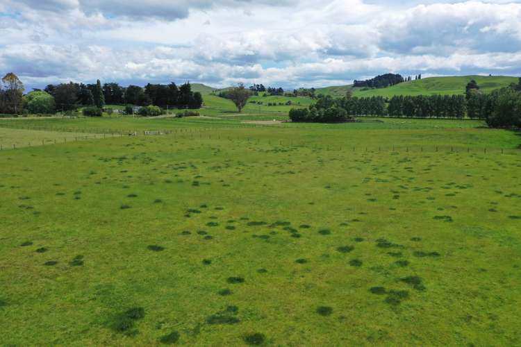 Lot 3 & 4/57 Tapairu Road Waipawa_15