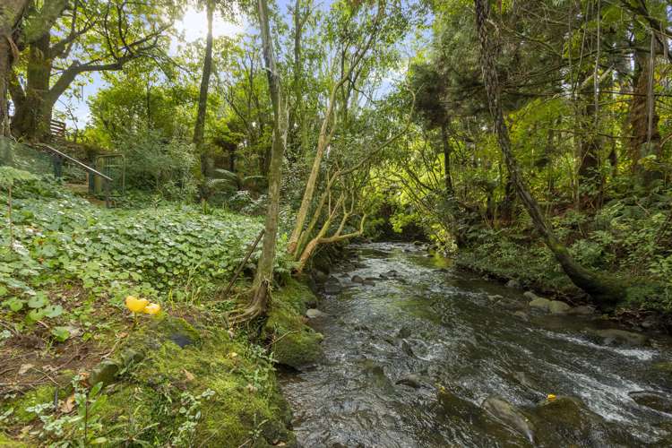 19 Nikau Street Inglewood_6