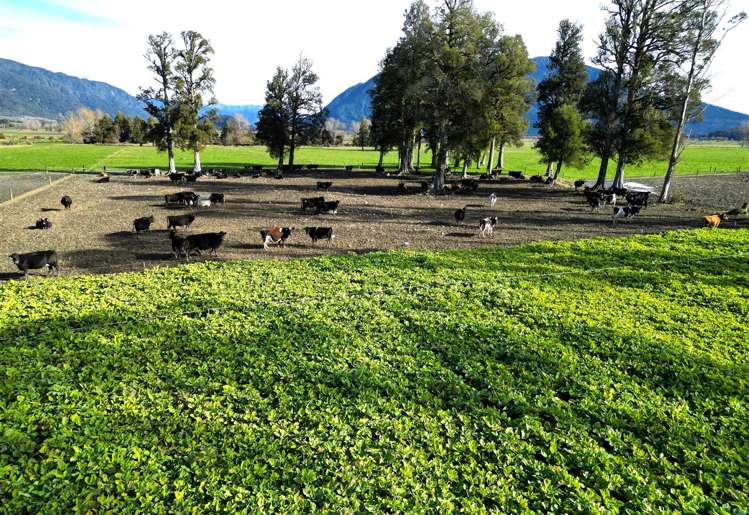 285 Bell Hill Road, Rotomanu Greymouth_9