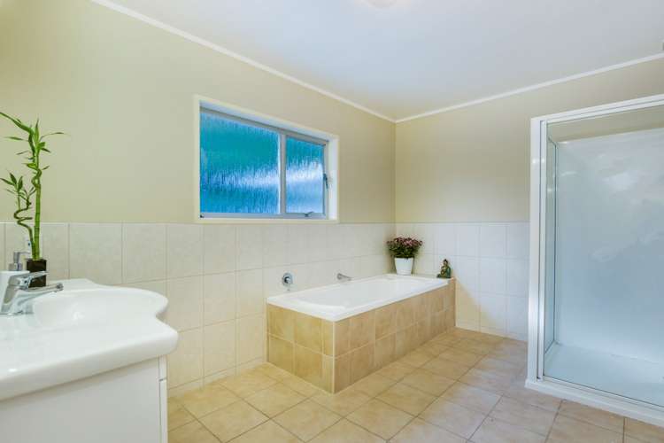 3a Palmer Crescent Mission Bay_9