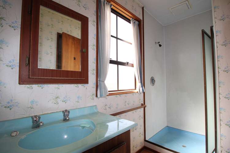 12 Ashworth Street Alexandra_16