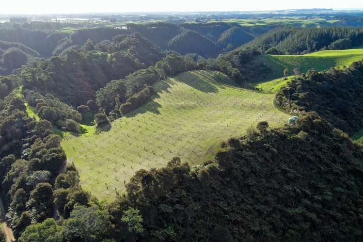 Maniatutu Road Pongakawa_26