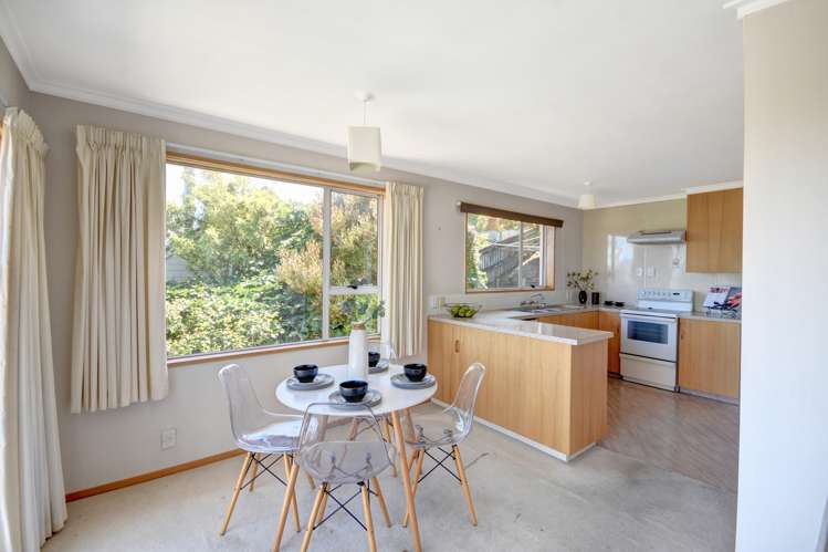 42 Aytoun Street Waverley_5