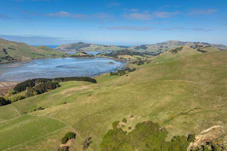 452 Harington Point Rd Lower Portobello_9