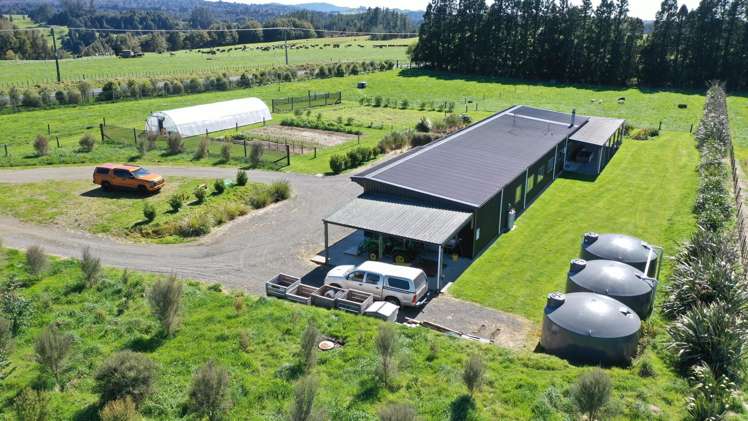 1961 Te Matai Road Te Puke_21