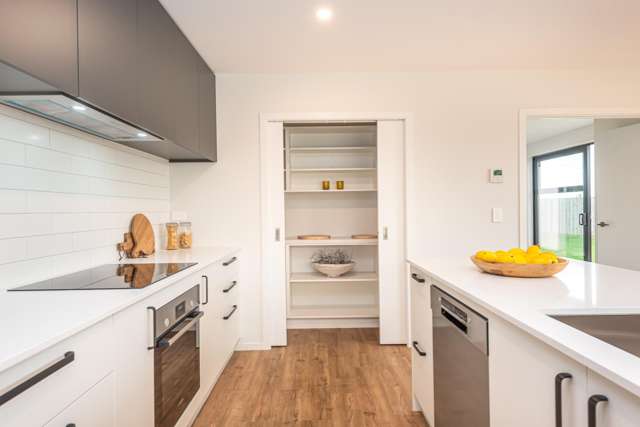 18 Plover Avenue Amberley_2