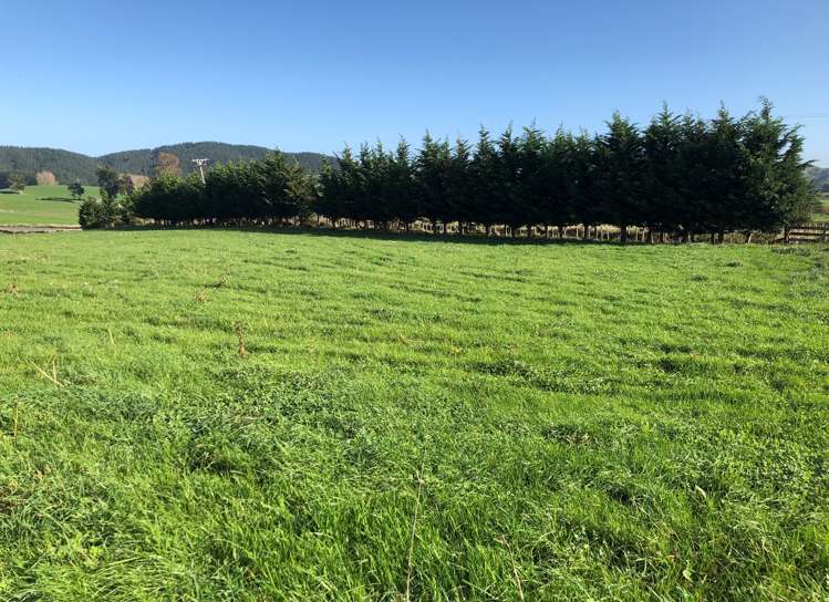 57 Earle Road Pukeatua_3