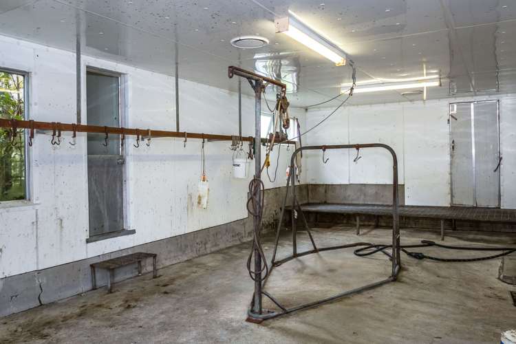 174 Opaki Kaiparoro Road Eketahuna_18