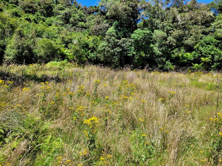 254 Doughboy Road Kokatahi_56