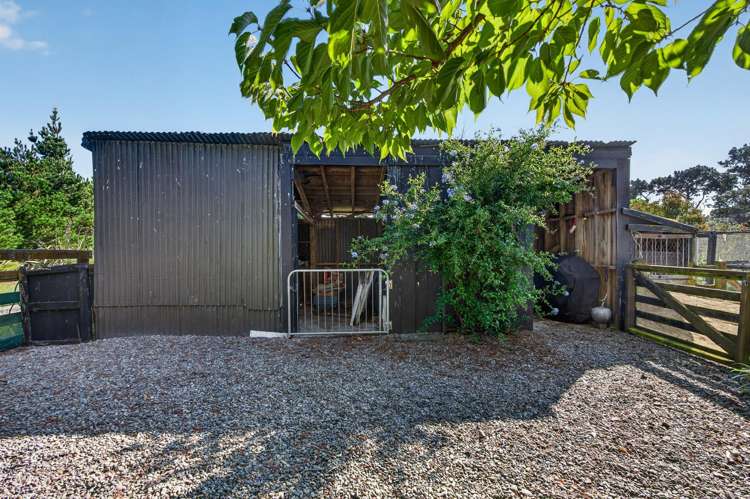 32 Murphys Line Featherston_35