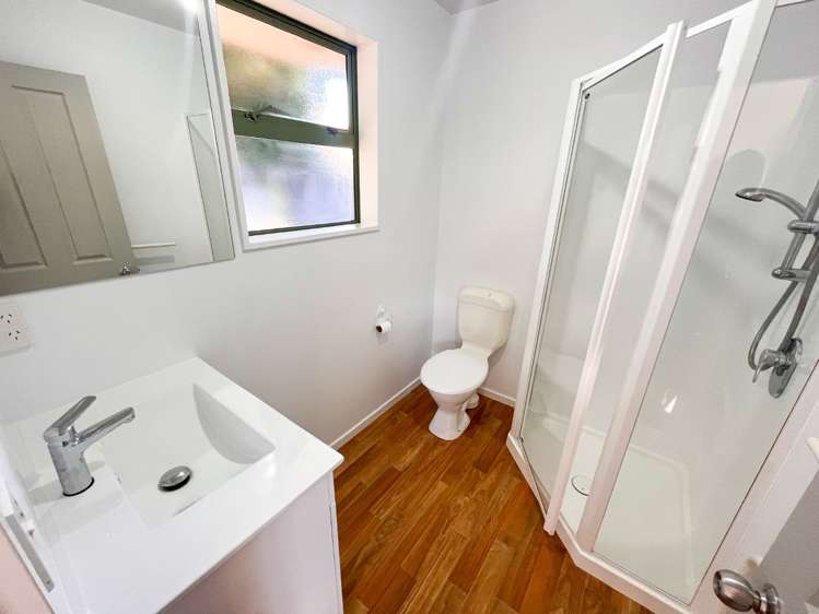 18 Willis Place Spreydon_10