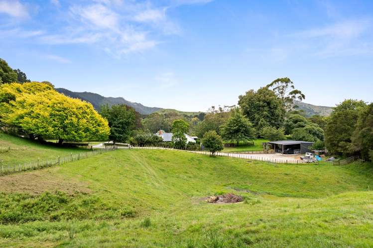 596 Riverside Road Matokitoki_23