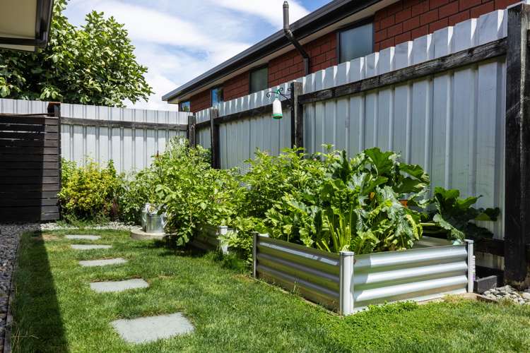 18 Aston Street Springlands_22