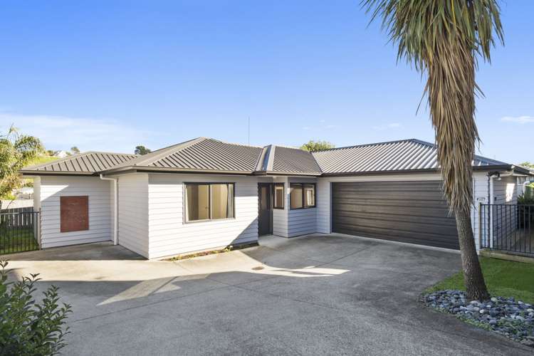 161a Waitaha Road Welcome Bay_0
