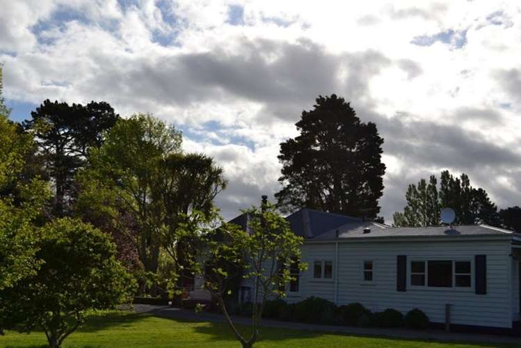 174 Kuratawhiti Street Woodside_19