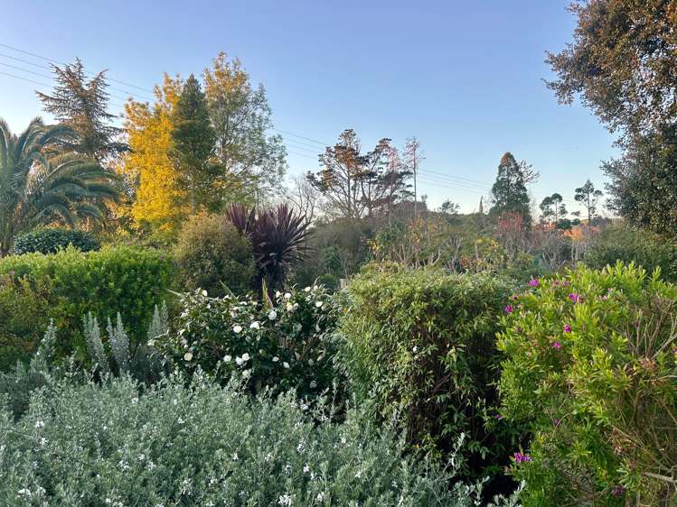 5388 State Highway 26 Te Aroha_22