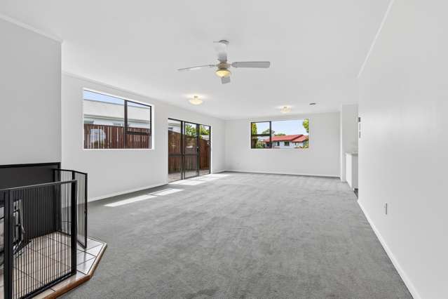 68 Young Street Morrinsville_3