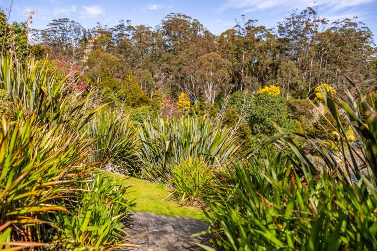 66 Jennings Road Kerikeri Surrounds_33