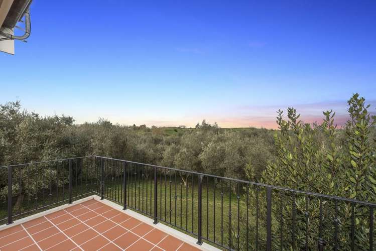 281 Bell Road Morrinsville_13