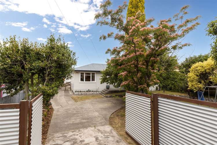 95 Howick Road Redwoodtown_17