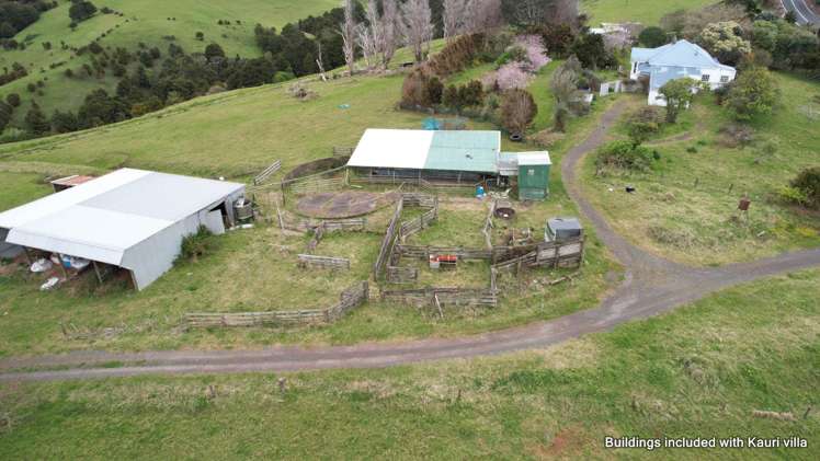 4283 State Highway 12 Dargaville Surrounds_19