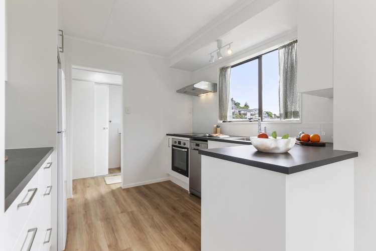 41 Cortina Avenue Johnsonville_4