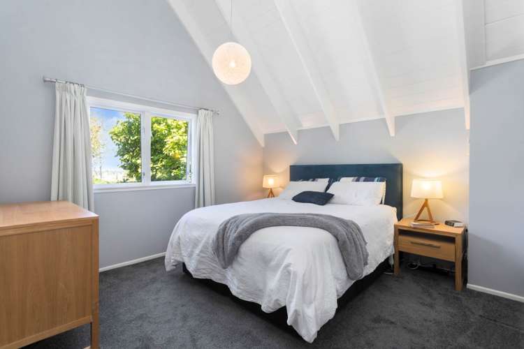 50 Frederick Street Hillsborough_10