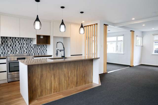 169 Edinburgh Street Spreydon_3