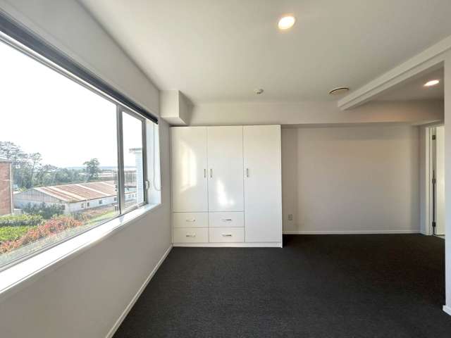 60 Niu Lane Te Atatu South_4