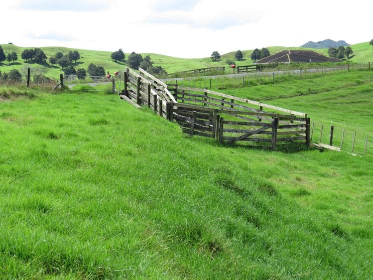 1877 Pipiwai Road Ruatangata_5