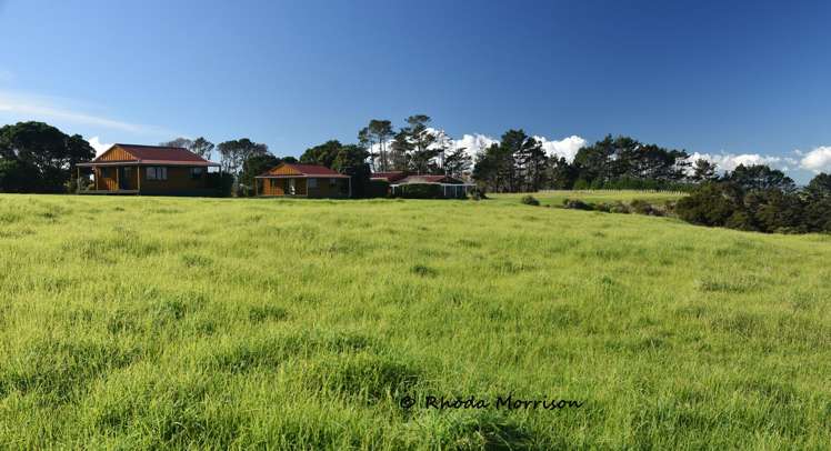 986 Tinopai Road Matakohe_39