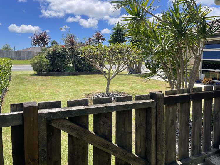 36 Plover Street One Tree Point_19