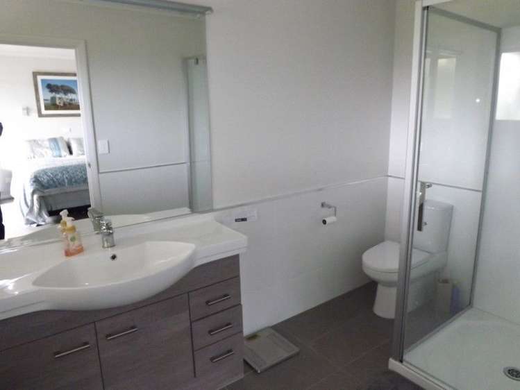 160 Maungatapu Road Morrinsville_13